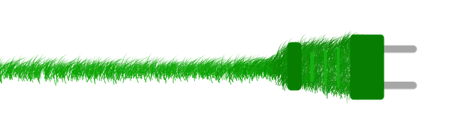 Sustainability Management Career