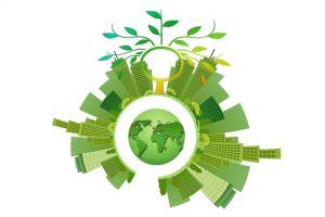 Sustainability Management Career